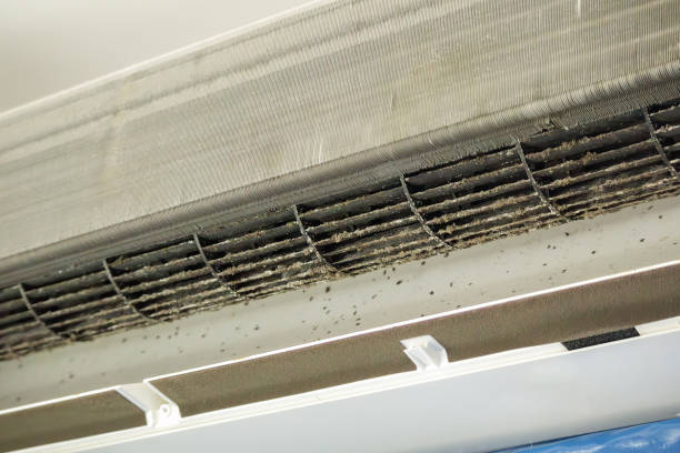 Best HVAC System Cleaning  in Casey, IL